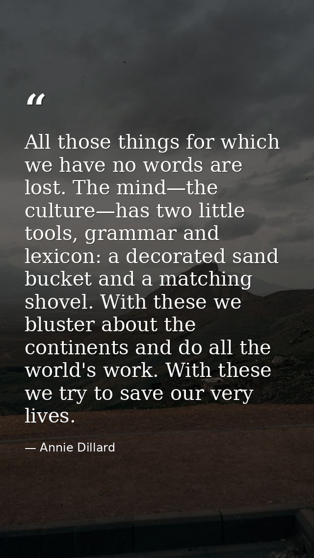 All those things for which we have no words are lost. The mind—the culture—has two little tools, grammar and lexicon: a  — Annie Dillard