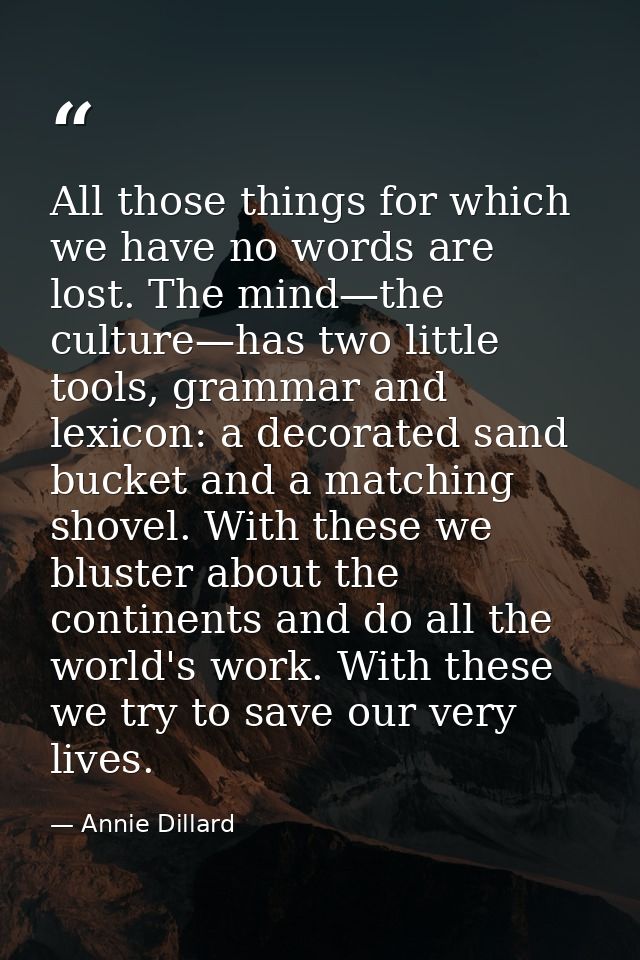 All those things for which we have no words are lost. The mind—the culture—has two little tools, grammar and lexicon: a  — Annie Dillard