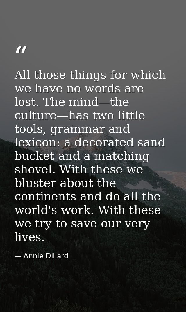 All those things for which we have no words are lost. The mind—the culture—has two little tools, grammar and lexicon: a  — Annie Dillard