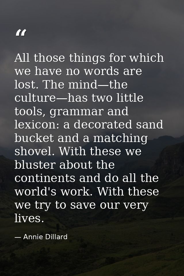 All those things for which we have no words are lost. The mind—the culture—has two little tools, grammar and lexicon: a  — Annie Dillard