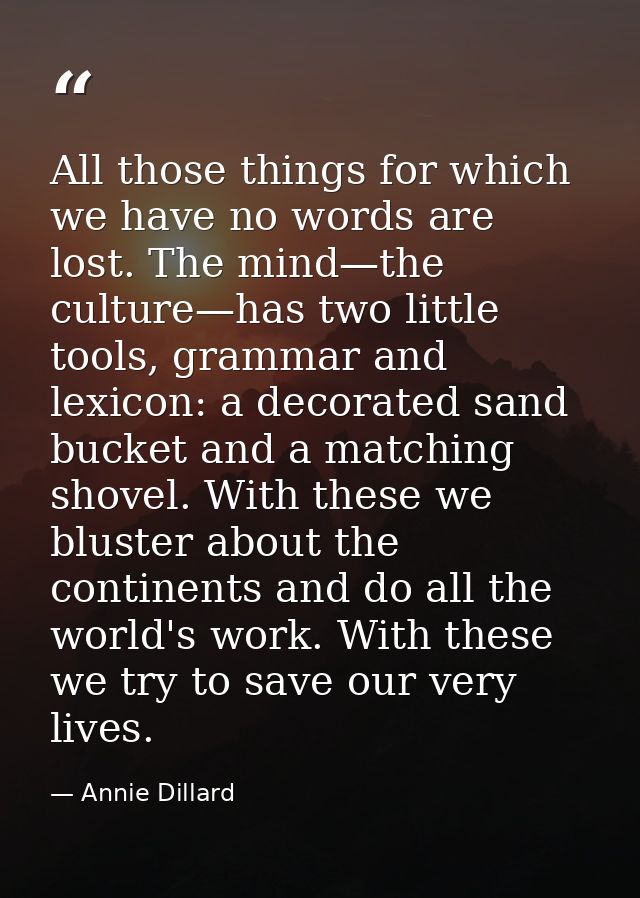 All those things for which we have no words are lost. The mind—the culture—has two little tools, grammar and lexicon: a  — Annie Dillard