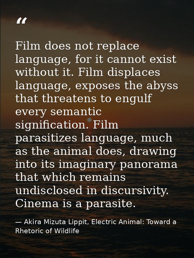 Film does not replace language, for it cannot exist without it. Film displaces language, exposes the abyss that threaten — Akira Mizuta Lippit, Electric Animal: Toward a Rhetoric of Wildlife