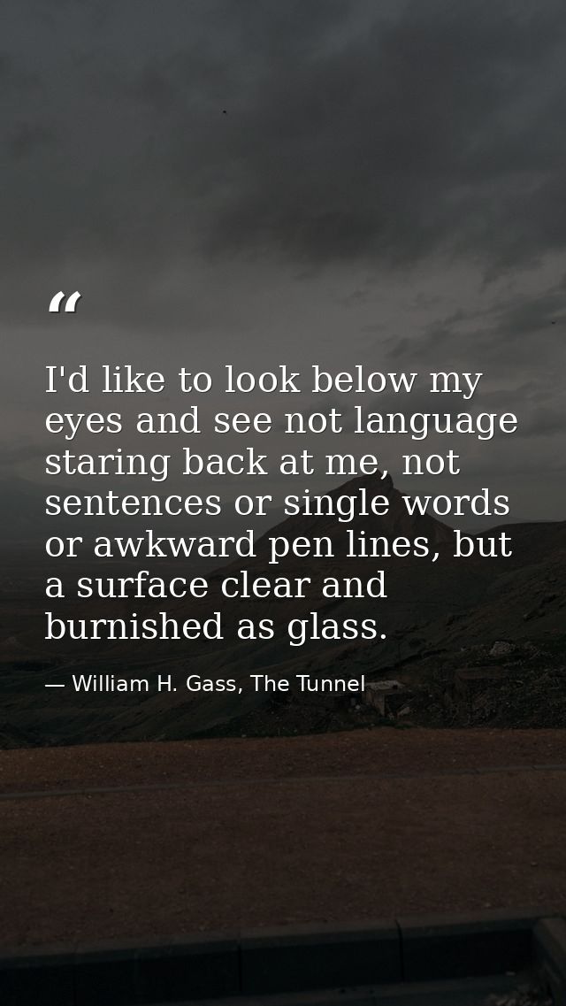 I'd like to look below my eyes and see not language staring back at me, not sentences or single words or awkward pen lin — William H. Gass, The Tunnel