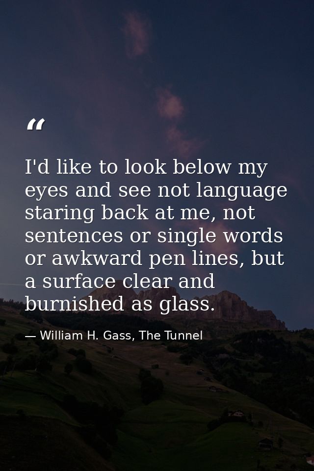 I'd like to look below my eyes and see not language staring back at me, not sentences or single words or awkward pen lin — William H. Gass, The Tunnel