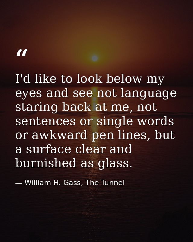 I'd like to look below my eyes and see not language staring back at me, not sentences or single words or awkward pen lin — William H. Gass, The Tunnel