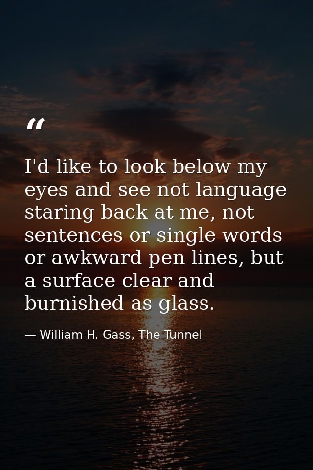 I'd like to look below my eyes and see not language staring back at me, not sentences or single words or awkward pen lin — William H. Gass, The Tunnel