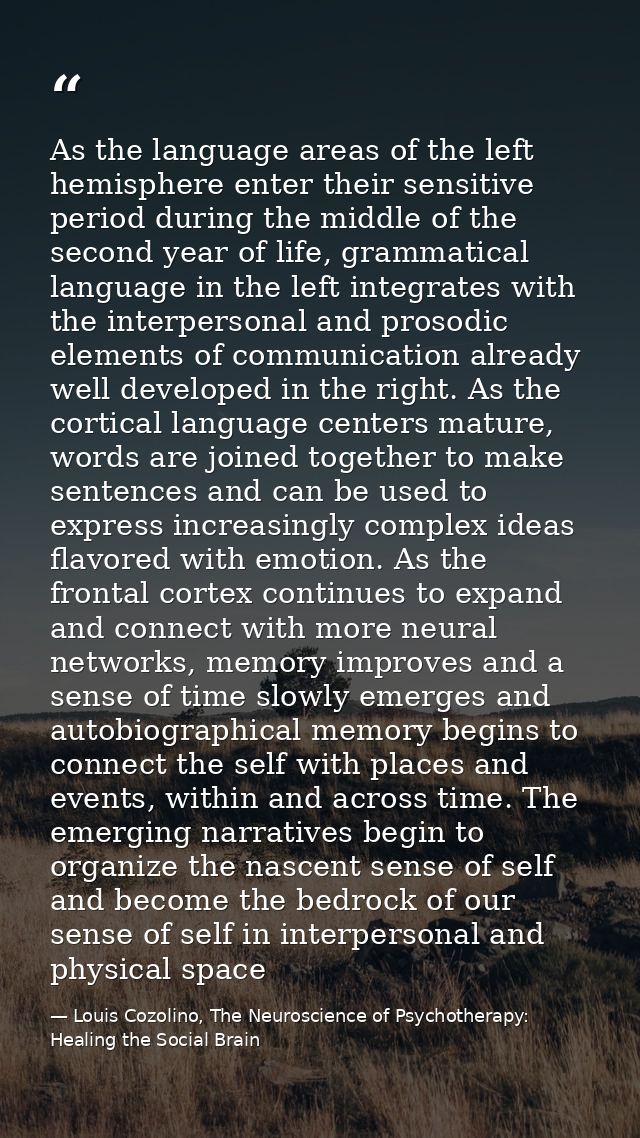 As the language areas of the left hemisphere enter their sensitive period during the middle of the second year of life,  — Louis Cozolino, The Neuroscience of Psychotherapy: Healing the Social Brain