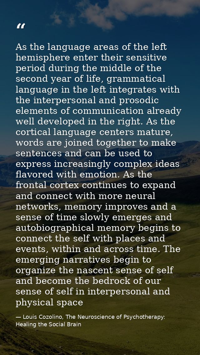 As the language areas of the left hemisphere enter their sensitive period during the middle of the second year of life,  — Louis Cozolino, The Neuroscience of Psychotherapy: Healing the Social Brain