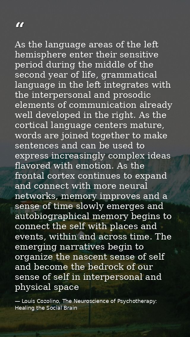 As the language areas of the left hemisphere enter their sensitive period during the middle of the second year of life,  — Louis Cozolino, The Neuroscience of Psychotherapy: Healing the Social Brain