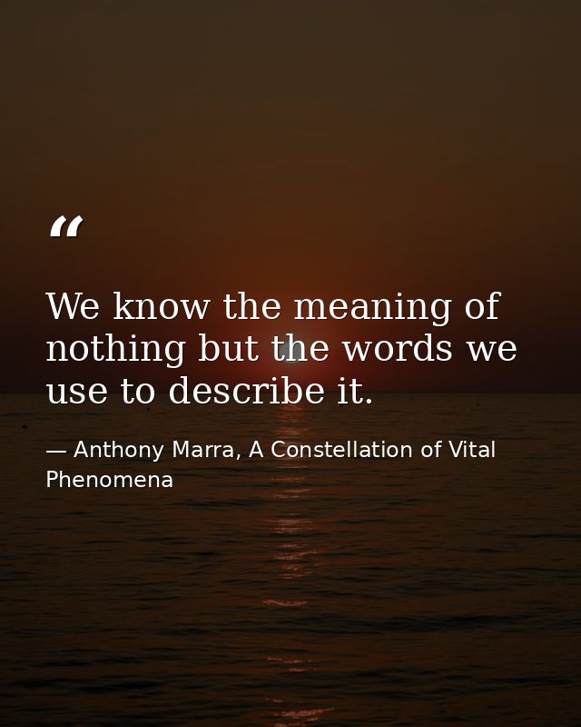 We know the meaning of nothing but the words we use to describe it. — Anthony Marra, A Constellation of Vital Phenomena