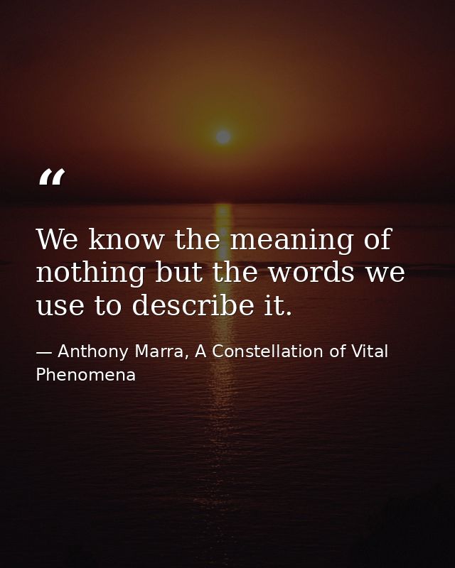 We know the meaning of nothing but the words we use to describe it. — Anthony Marra, A Constellation of Vital Phenomena