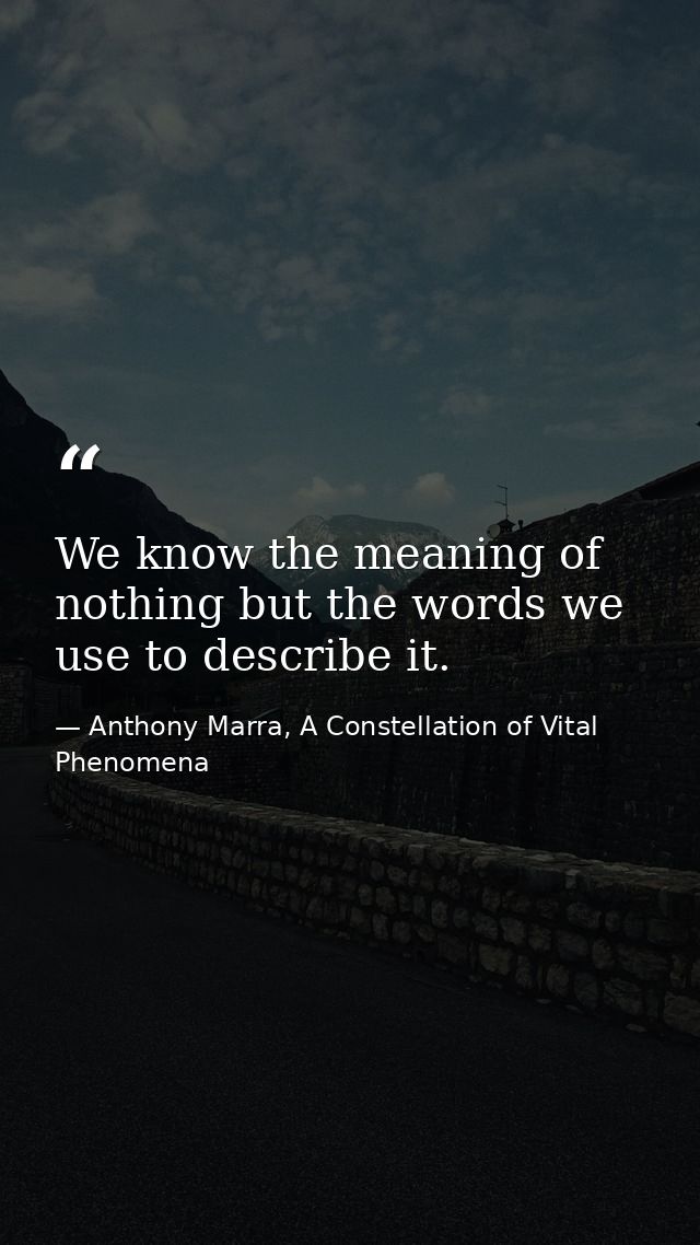 We know the meaning of nothing but the words we use to describe it. — Anthony Marra, A Constellation of Vital Phenomena