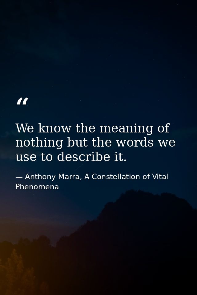 We know the meaning of nothing but the words we use to describe it. — Anthony Marra, A Constellation of Vital Phenomena