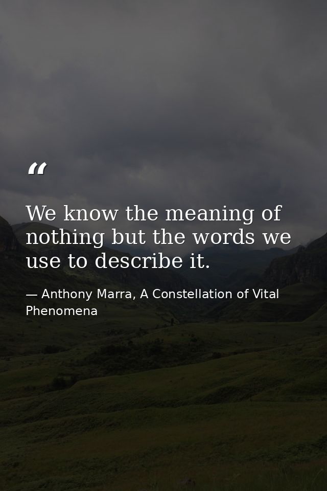 We know the meaning of nothing but the words we use to describe it. — Anthony Marra, A Constellation of Vital Phenomena