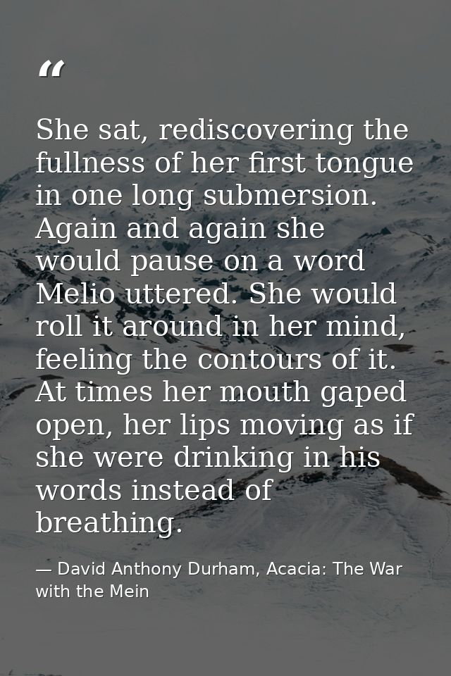 She sat, rediscovering the fullness of her first tongue in one long submersion. Again and again she would pause on a wor — David Anthony Durham, Acacia: The War with the Mein