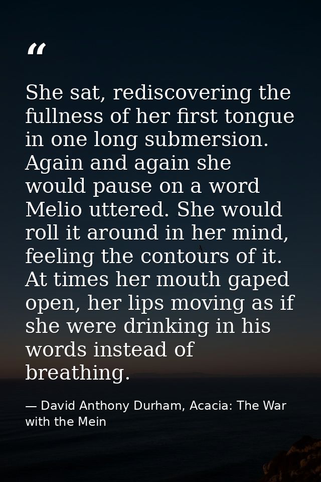 She sat, rediscovering the fullness of her first tongue in one long submersion. Again and again she would pause on a wor — David Anthony Durham, Acacia: The War with the Mein