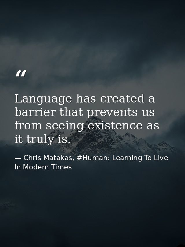 Language has created a barrier that prevents us from seeing existence as it truly is. — Chris Matakas, #Human: Learning To Live In Modern Times