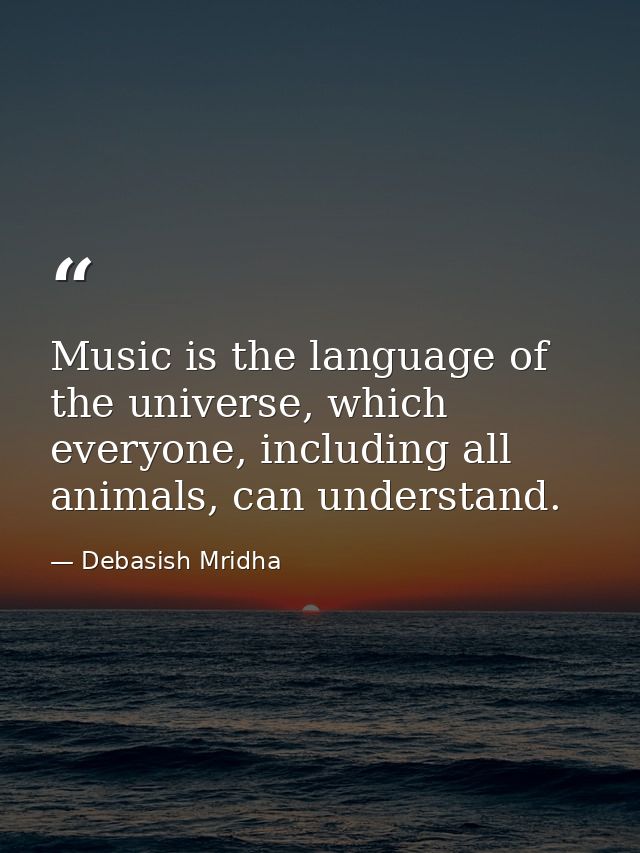 Music is the language of the universe, which everyone, including all animals, can understand. — Debasish Mridha