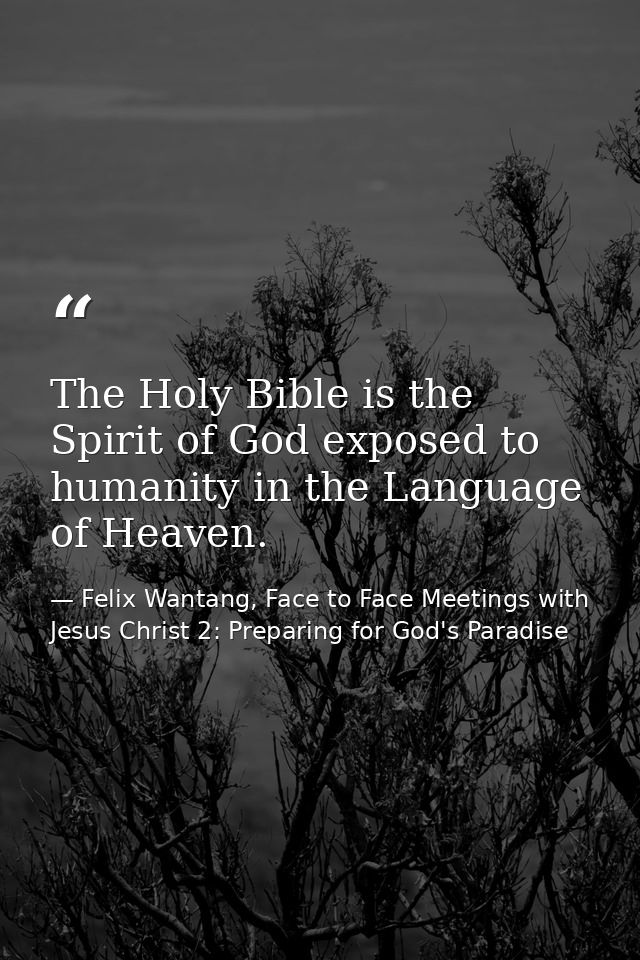 The Holy Bible is the Spirit of God exposed to humanity in the Language of Heaven. — Felix Wantang, Face to Face Meetings with Jesus Christ 2: Preparing for God's Paradise