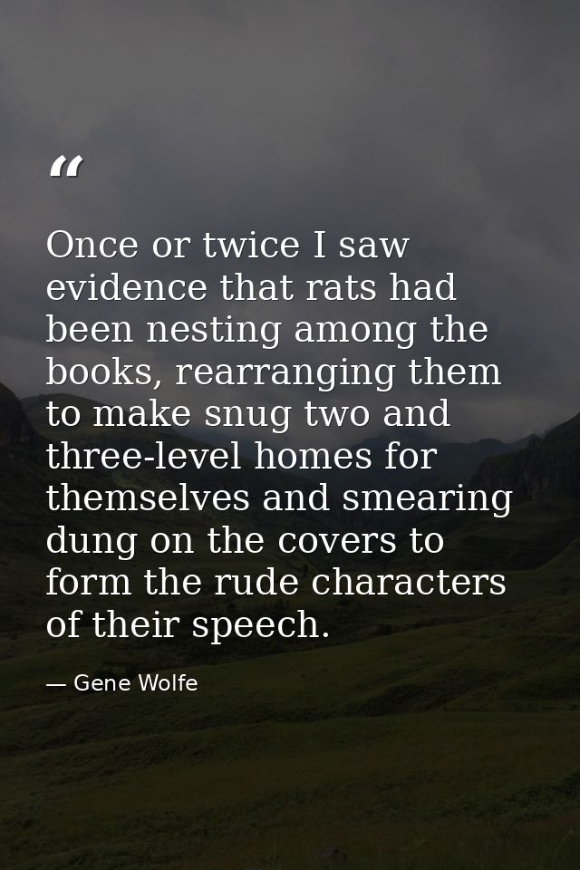 Once or twice I saw evidence that rats had been nesting among the books, rearranging them to make snug two and three-lev — Gene Wolfe