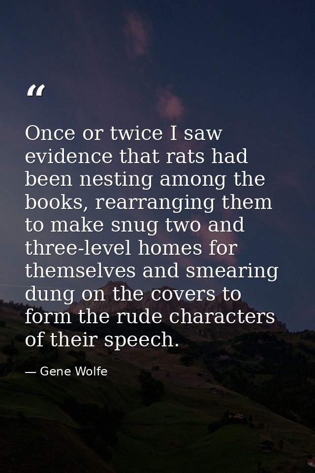 Once or twice I saw evidence that rats had been nesting among the books, rearranging them to make snug two and three-lev — Gene Wolfe