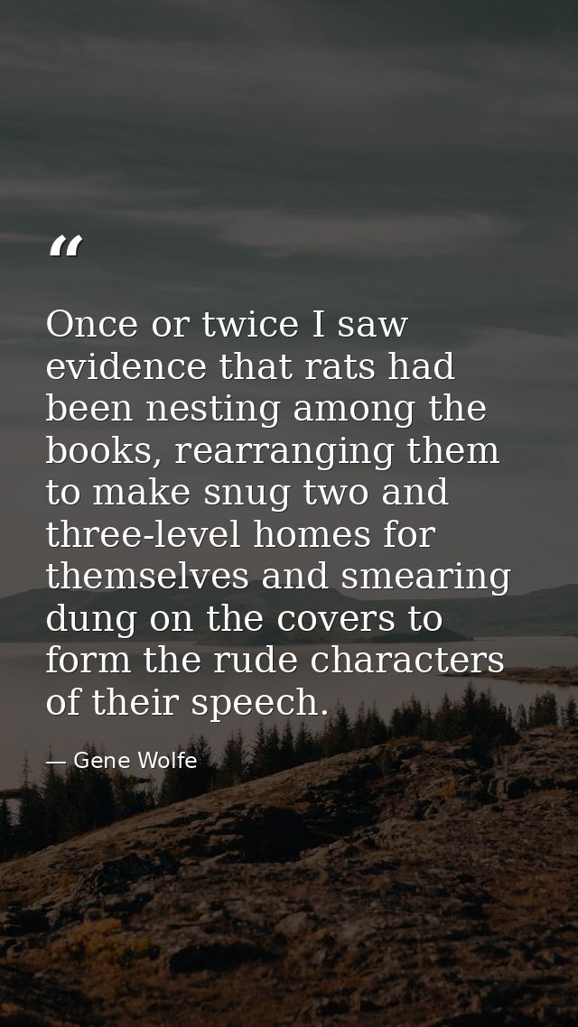 Once or twice I saw evidence that rats had been nesting among the books, rearranging them to make snug two and three-lev — Gene Wolfe