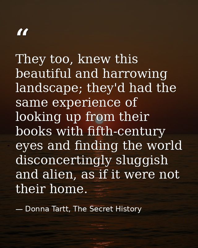 They too, knew this beautiful and harrowing landscape; they'd had the same experience of looking up from their books wit — Donna Tartt, The Secret History