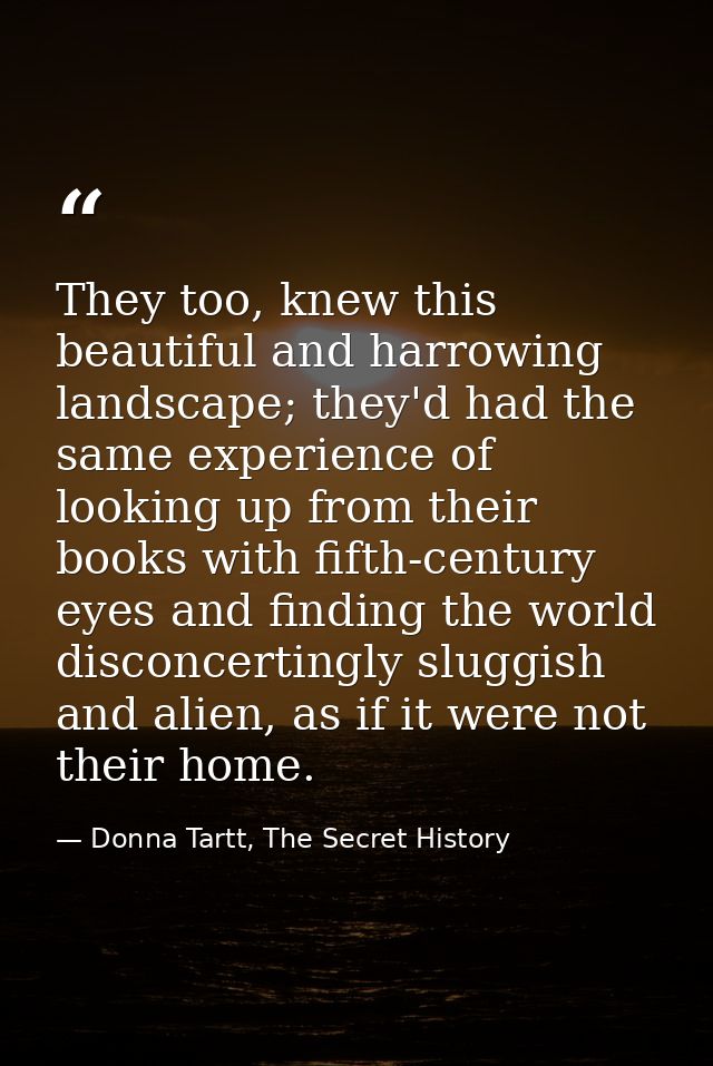 They too, knew this beautiful and harrowing landscape; they'd had the same experience of looking up from their books wit — Donna Tartt, The Secret History