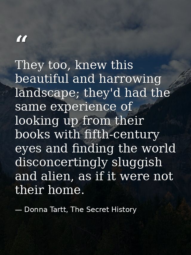 They too, knew this beautiful and harrowing landscape; they'd had the same experience of looking up from their books wit — Donna Tartt, The Secret History