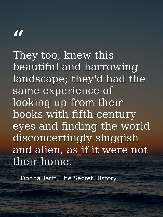 They too, knew this beautiful and harrowing landscape; they'd had the same experience of looking up from their books wit — Donna Tartt, The Secret History