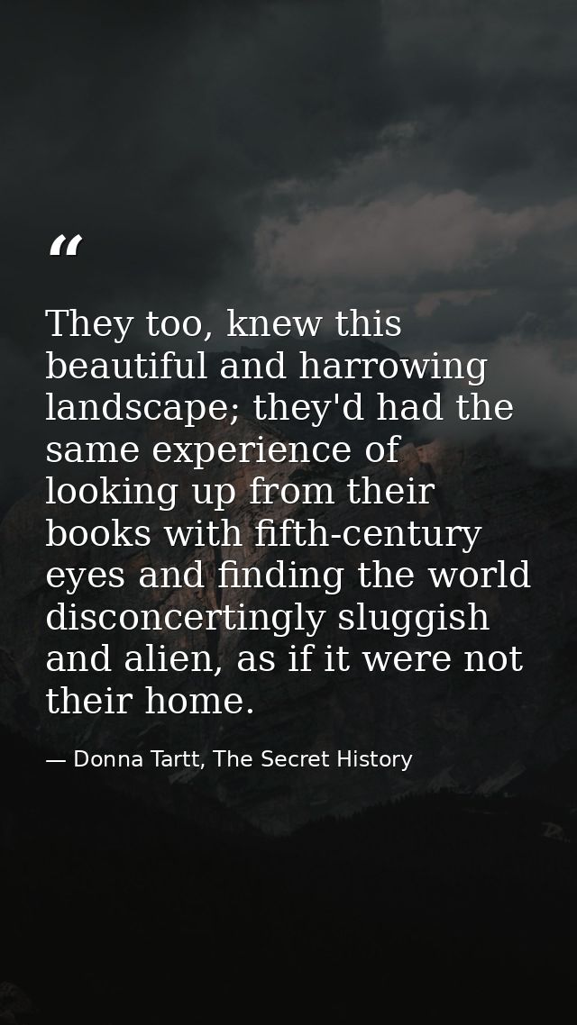 They too, knew this beautiful and harrowing landscape; they'd had the same experience of looking up from their books wit — Donna Tartt, The Secret History