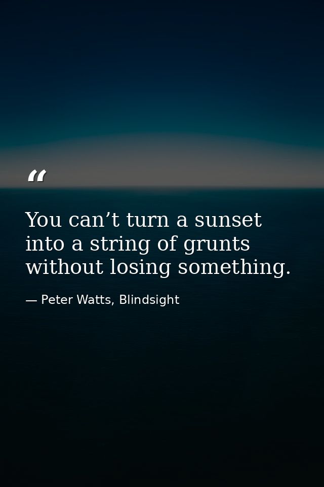 You can’t turn a sunset into a string of grunts without losing something. — Peter Watts, Blindsight
