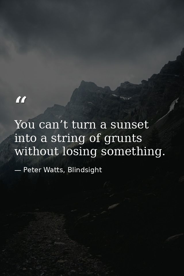 You can’t turn a sunset into a string of grunts without losing something. — Peter Watts, Blindsight