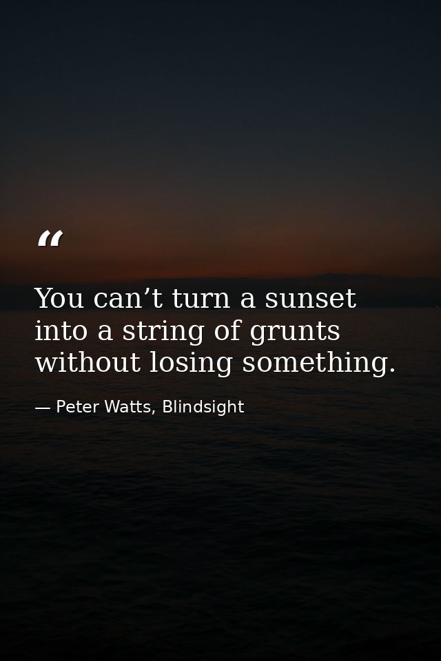 You can’t turn a sunset into a string of grunts without losing something. — Peter Watts, Blindsight