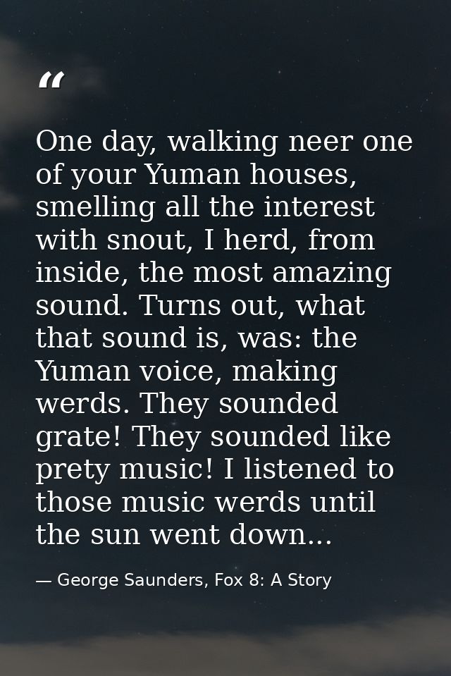 One day, walking neer one of your Yuman houses, smelling all the interest with snout, I herd, from inside, the most amaz — George Saunders, Fox 8: A Story