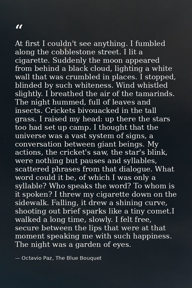 At first I couldn't see anything. I fumbled along the cobblestone street. I lit a cigarette. Suddenly the moon appeared  — Octavio Paz, The Blue Bouquet
