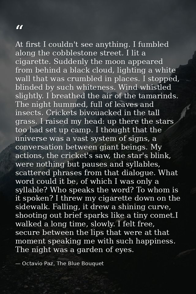 At first I couldn't see anything. I fumbled along the cobblestone street. I lit a cigarette. Suddenly the moon appeared  — Octavio Paz, The Blue Bouquet