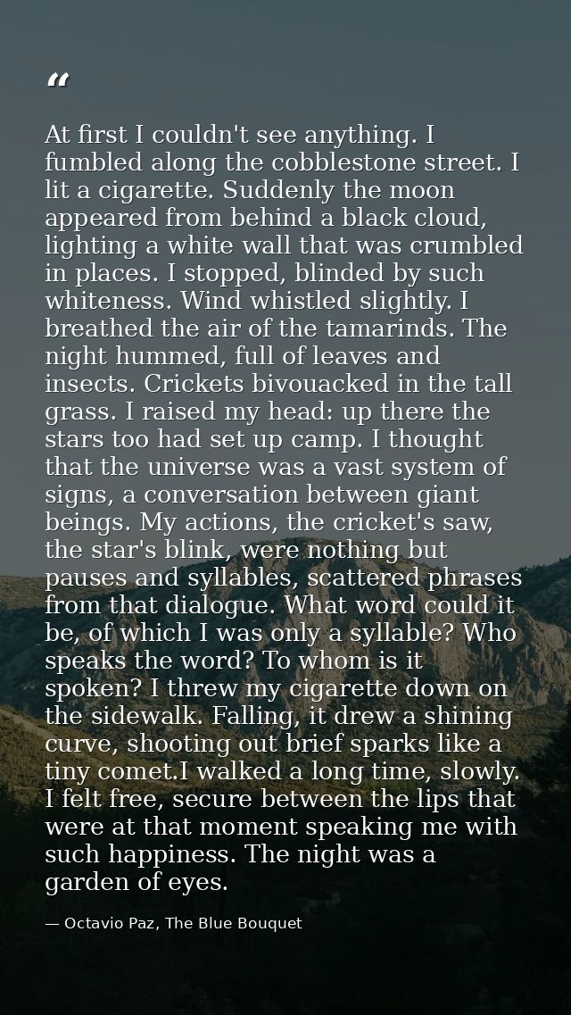 At first I couldn't see anything. I fumbled along the cobblestone street. I lit a cigarette. Suddenly the moon appeared  — Octavio Paz, The Blue Bouquet