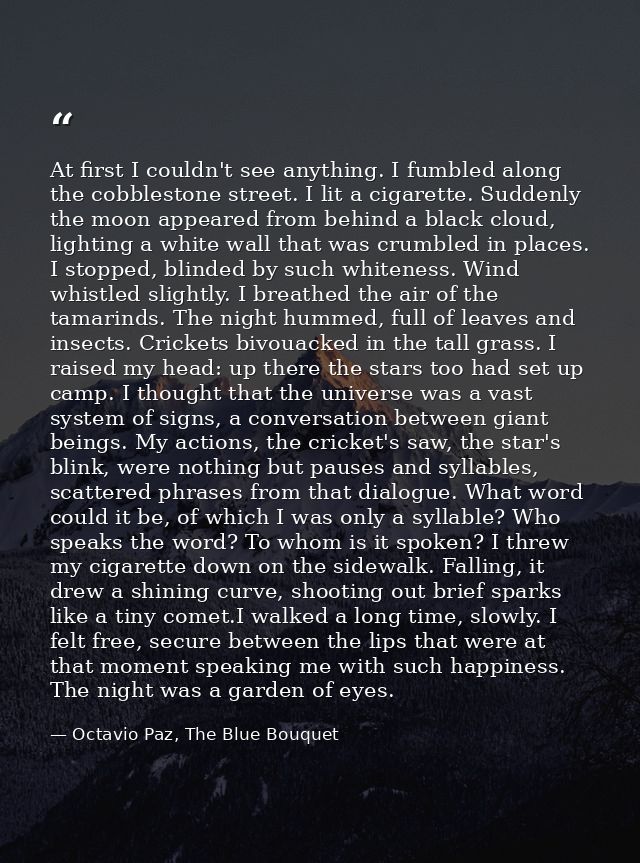At first I couldn't see anything. I fumbled along the cobblestone street. I lit a cigarette. Suddenly the moon appeared  — Octavio Paz, The Blue Bouquet