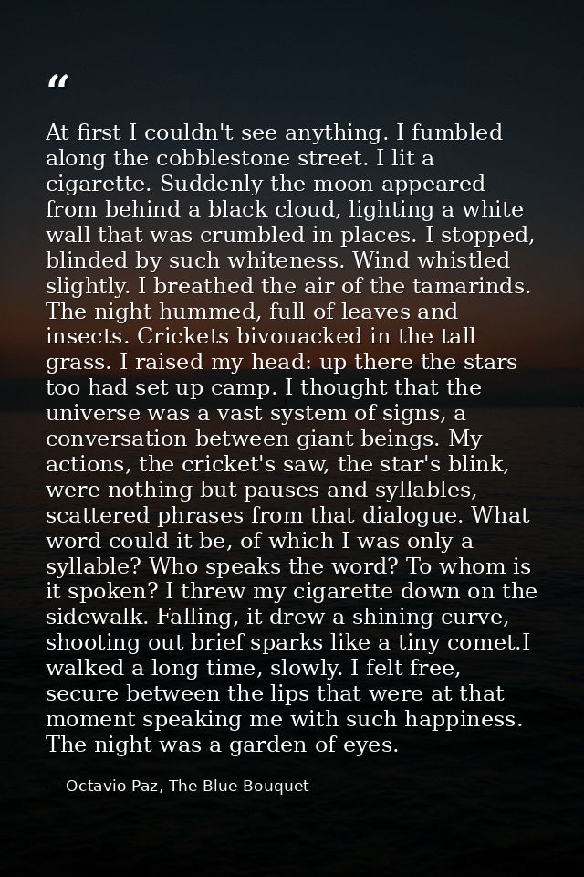 At first I couldn't see anything. I fumbled along the cobblestone street. I lit a cigarette. Suddenly the moon appeared  — Octavio Paz, The Blue Bouquet