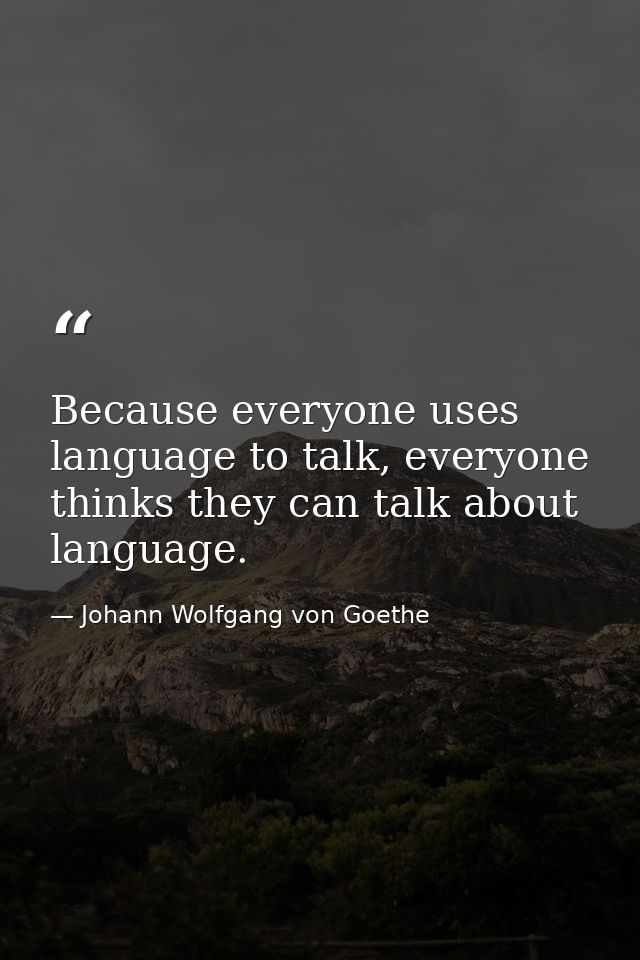 Because everyone uses language to talk, everyone thinks they can talk about language. — Johann Wolfgang von Goethe