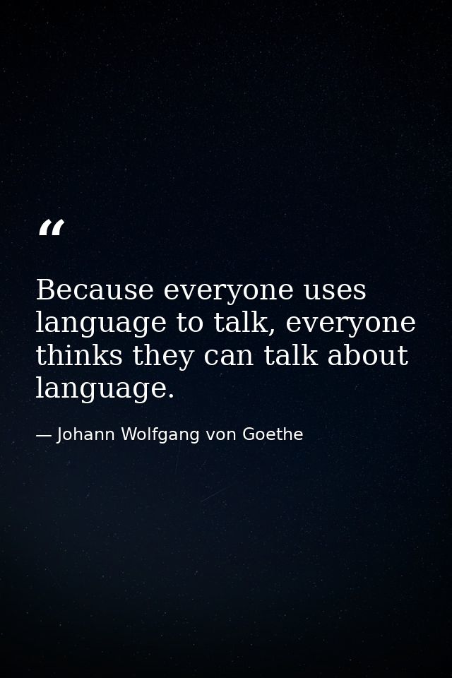 Because everyone uses language to talk, everyone thinks they can talk about language. — Johann Wolfgang von Goethe