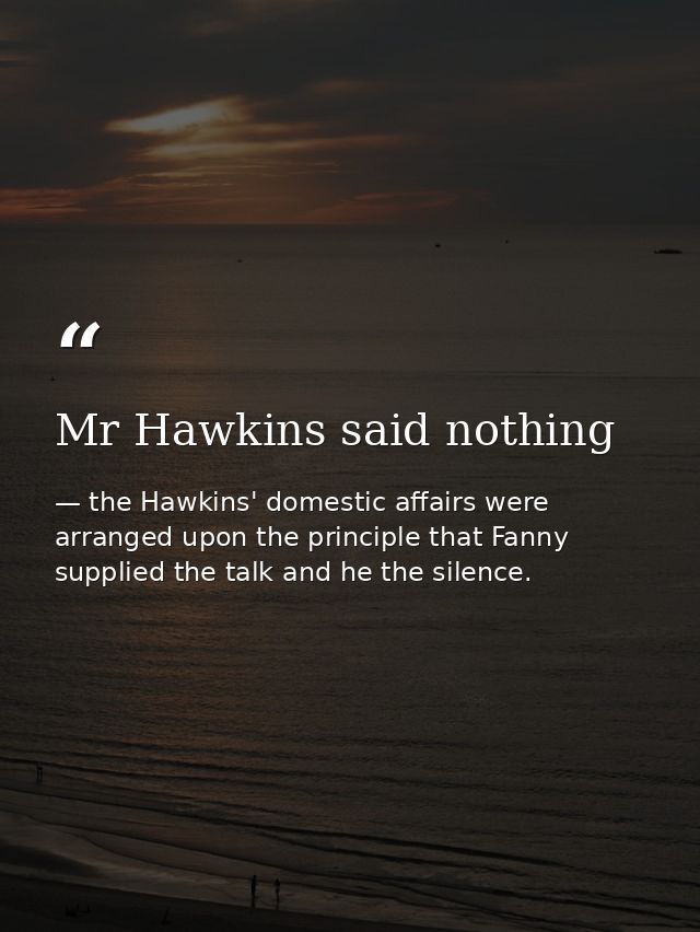 Mr Hawkins said nothing — the Hawkins' domestic affairs were arranged upon the principle that Fanny supplied the talk and he the silence.