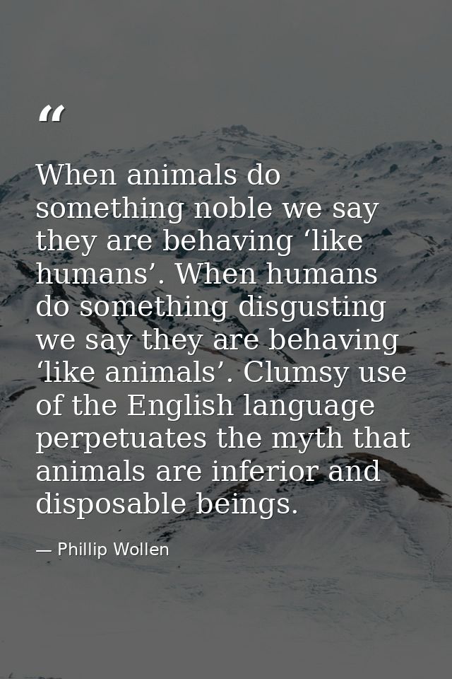 When animals do something noble we say they are behaving ‘like humans’. When humans do something disgusting we say they  — Phillip Wollen