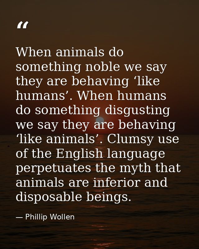 When animals do something noble we say they are behaving ‘like humans’. When humans do something disgusting we say they  — Phillip Wollen
