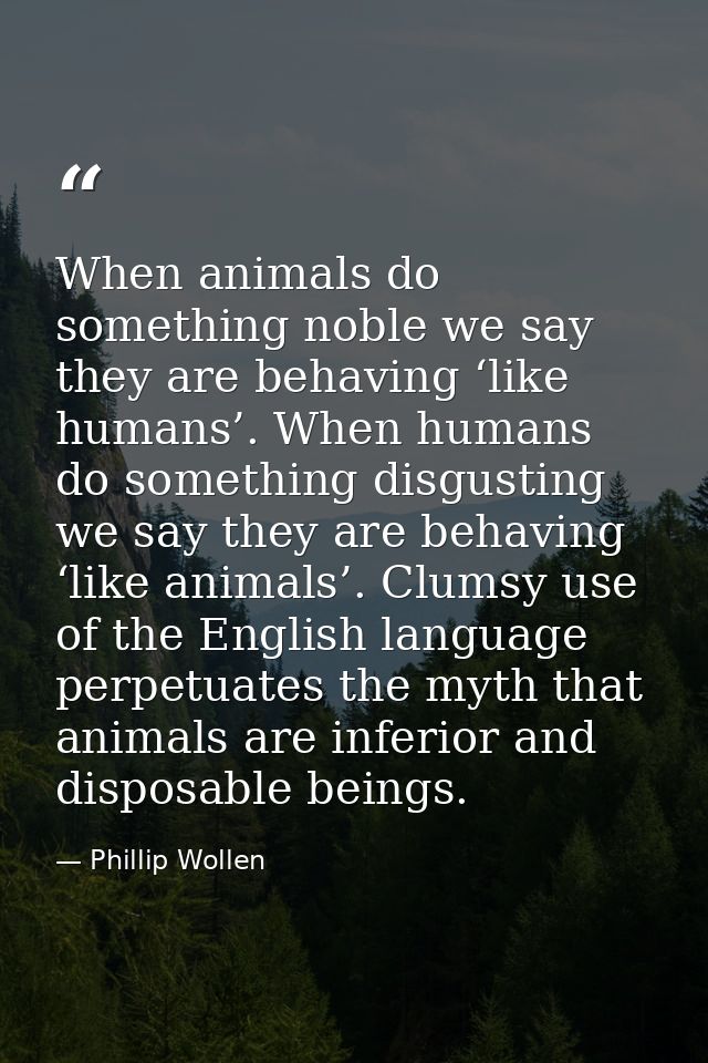 When animals do something noble we say they are behaving ‘like humans’. When humans do something disgusting we say they  — Phillip Wollen