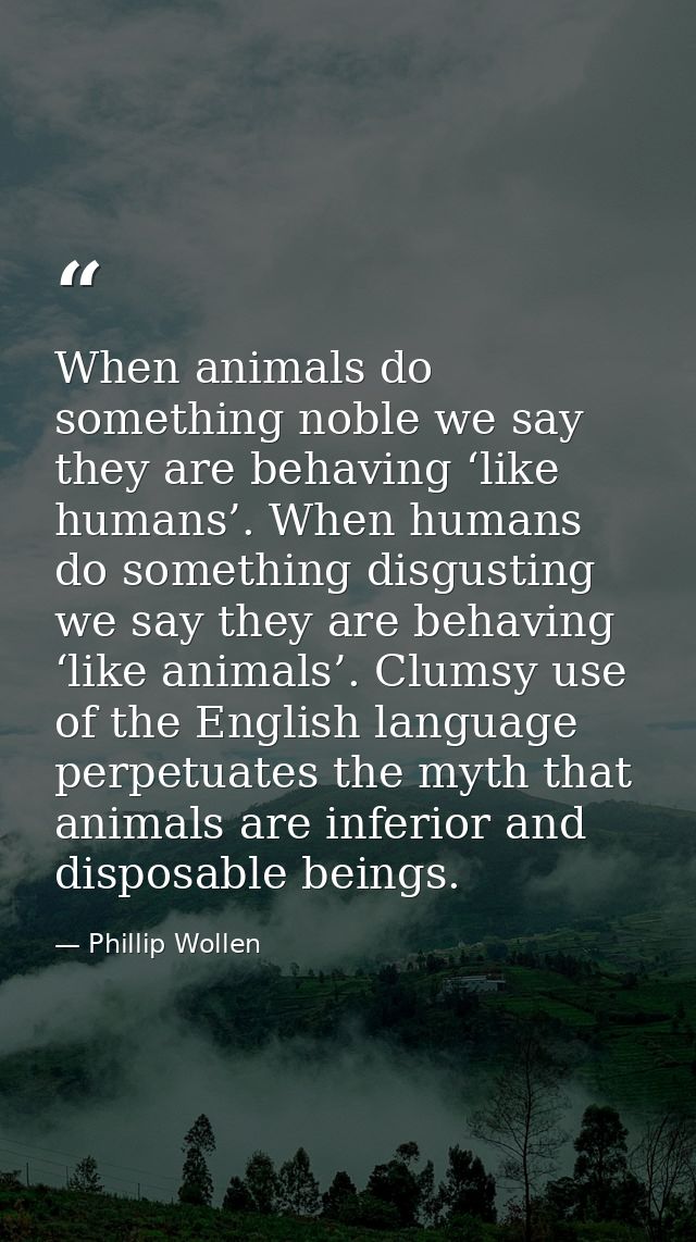 When animals do something noble we say they are behaving ‘like humans’. When humans do something disgusting we say they  — Phillip Wollen