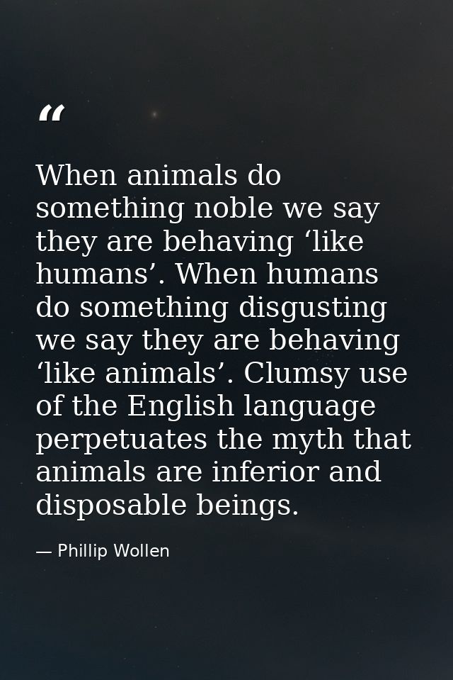 When animals do something noble we say they are behaving ‘like humans’. When humans do something disgusting we say they  — Phillip Wollen