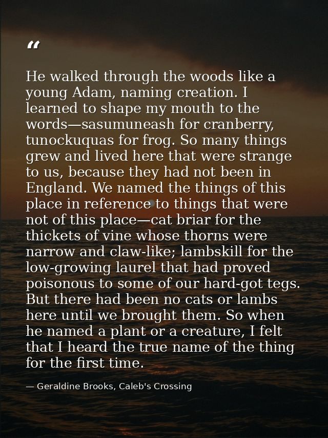 He walked through the woods like a young Adam, naming creation. I learned to shape my mouth to the words—sasumuneash for — Geraldine Brooks, Caleb's Crossing