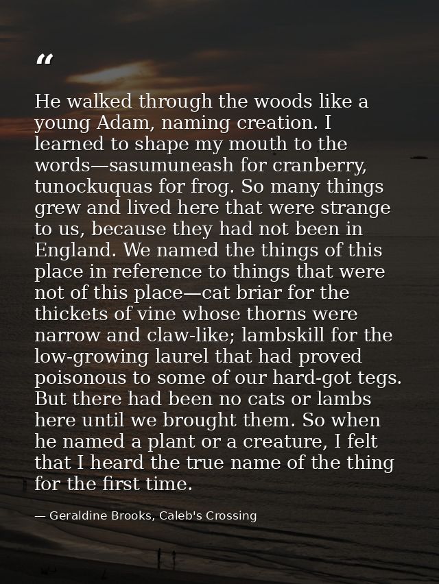 He walked through the woods like a young Adam, naming creation. I learned to shape my mouth to the words—sasumuneash for — Geraldine Brooks, Caleb's Crossing